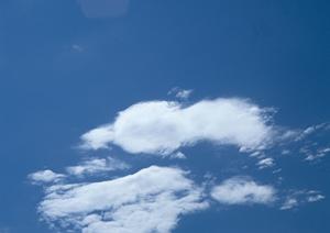 大阪の霊園で探している人におすすめ