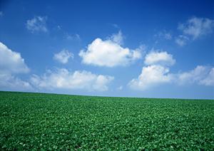 静岡市葵区の家族葬なら【公式】家族葬のタクセル長沼：安心価格と充実設備を備えた専門斎場