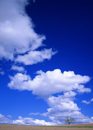 静岡市駿河区に新規オープンの【家族葬のタクセル大和】｜低価格・安心の家族葬専門斎場