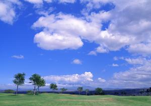 2025年最新ガイド：青森の火葬サービスを徹底比較し選ぶポイント