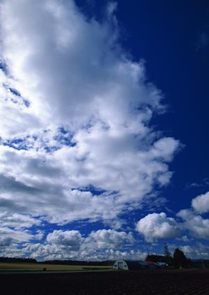 静岡市・静岡県の安心・低価格な葬儀社：家族葬のタクセルの特徴と店舗情報