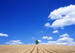 静岡市清水区の家族葬専門斎場【家族葬のタクセル北矢部町】｜安心低価格・信頼の葬儀サービス