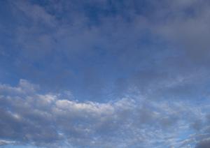 静岡県藤枝市における信頼の葬儀サービス：富士葬祭 藤枝の特徴と店舗詳細